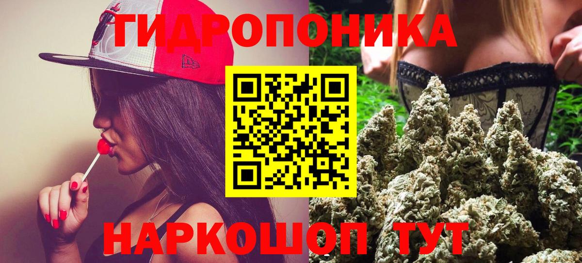 Кашира  Каннабис сатива  Шишки марихуана THC 21%  Бошки марихуана марихуана  Вход с VPN 